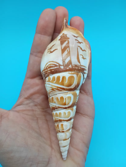 Carved Tibia Shell with Lighthouse Scene – 4.8"