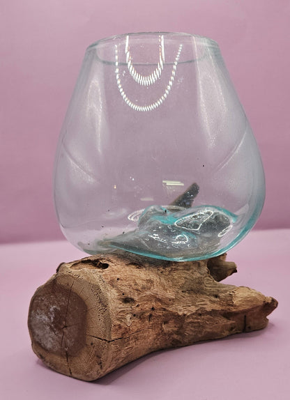 Small/Medium Teak Root Driftwood and Molten Glass Terrarium- Single Globe