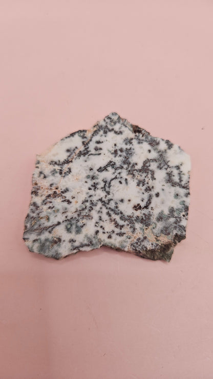 Tree Agate Slab – Natural Dendritic Chalcedony Specimen-21 g