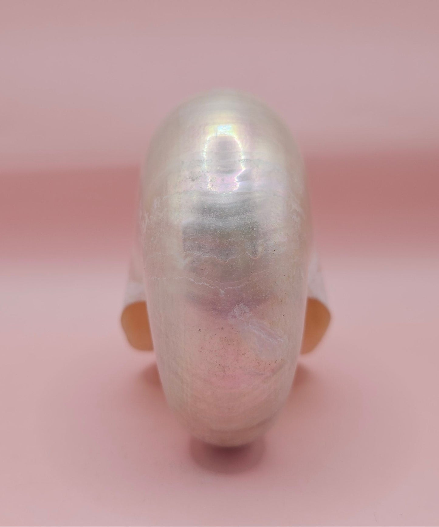 Polished Pearl Nautilus Shell – Elegant Ocean Décor (3.75")