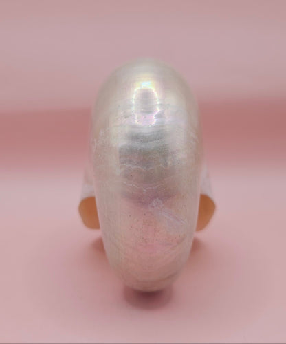 Polished Pearl Nautilus Shell – Elegant Ocean Décor (3.75")