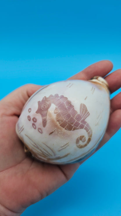 Carved Cowrie Shell Display 3.5" – Dolphin, Seahorse, or Shrimp Design Options
