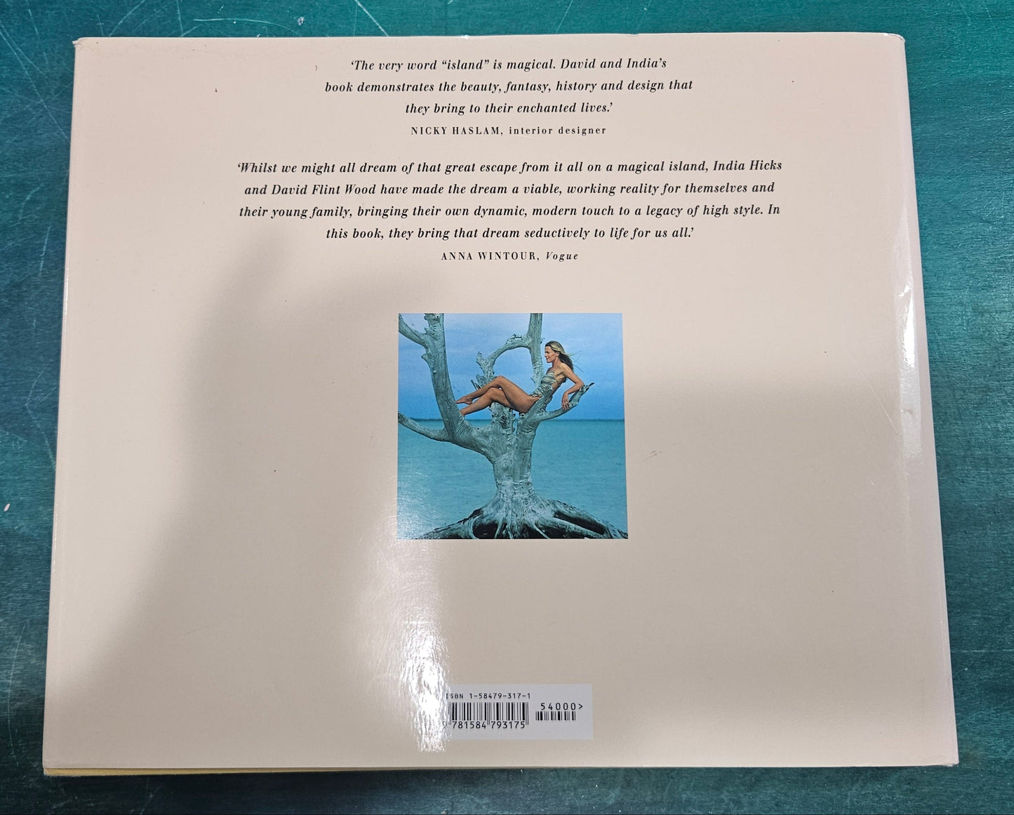 Island Life: Inspirational Interiors by India Hicks & David Flint Wood (2003, First U.S. Printing)