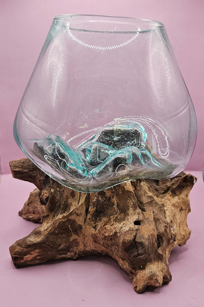 Small/Medium Teak Root Driftwood and Molten Glass Terrarium- Single Globe