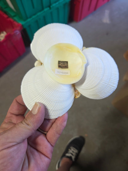 Vintage Tigerina Clam Shell Dish Trio