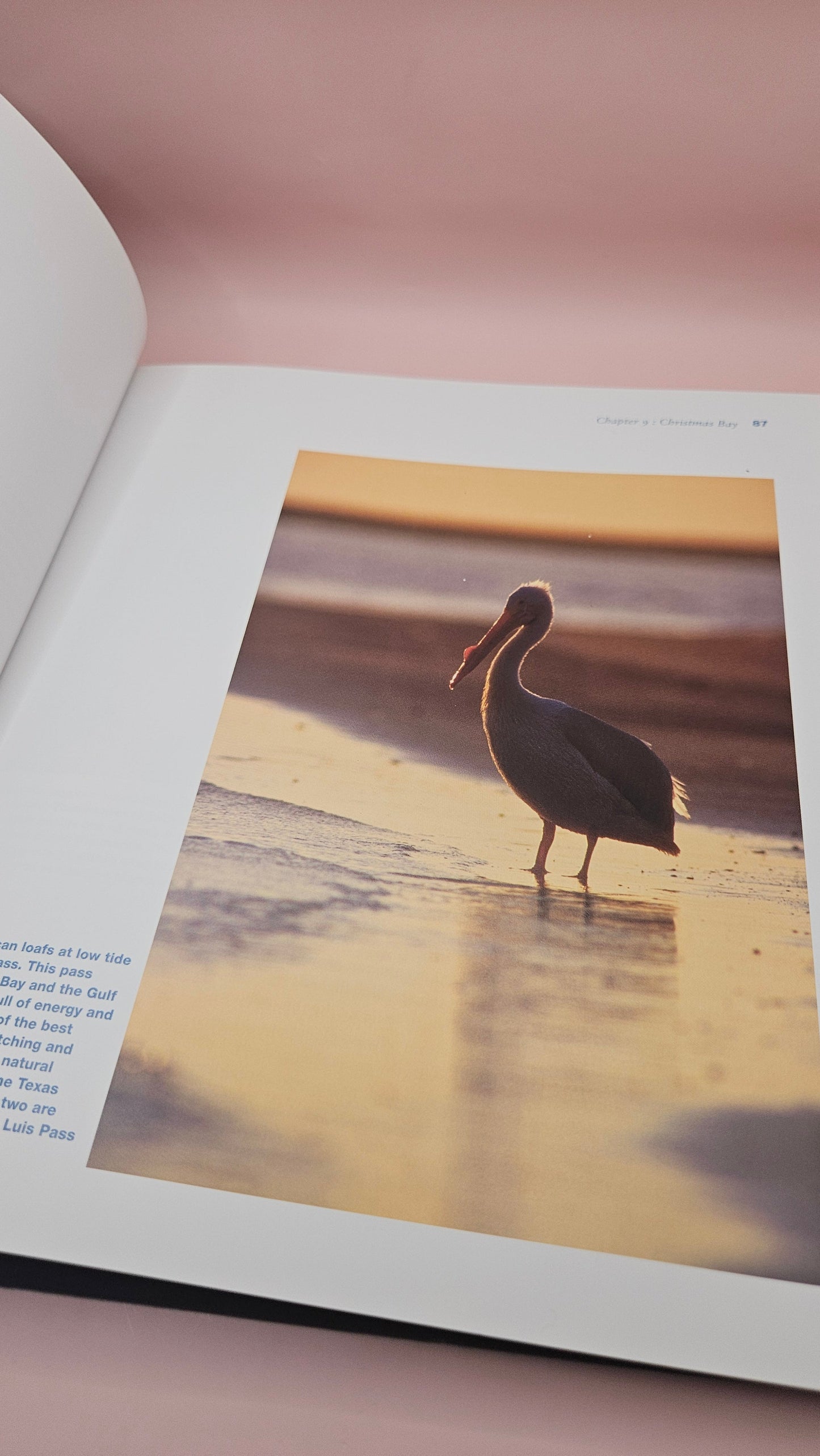 The Book of Texas Bays by Jim Blackburn - Texas A&M University Press - Vintage Coastal Ecology Book