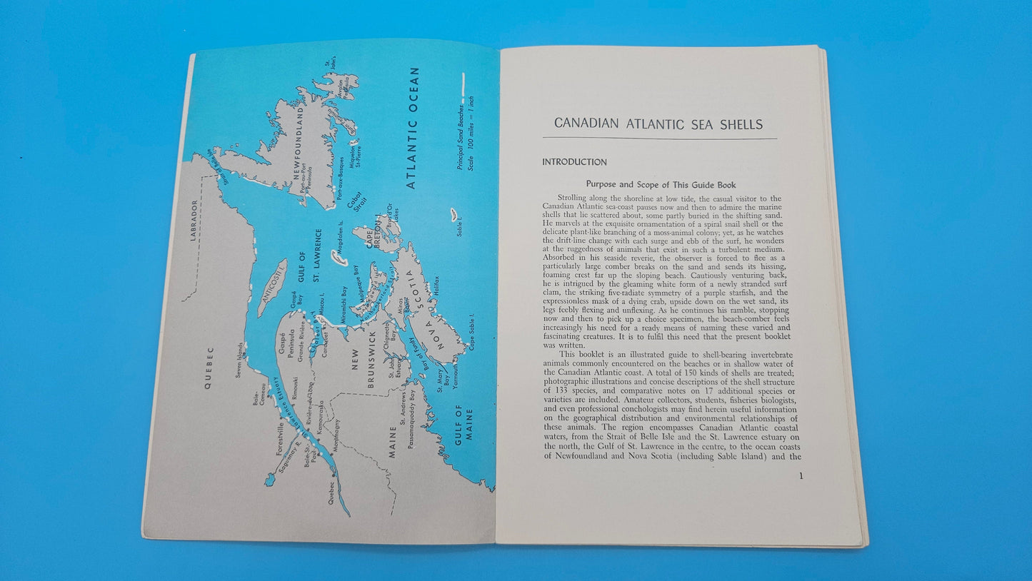 Canadian Atlantic Sea Shells – E.L. Bousfield (1960, Softcover)