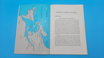 Canadian Atlantic Sea Shells – E.L. Bousfield (1960, Softcover)