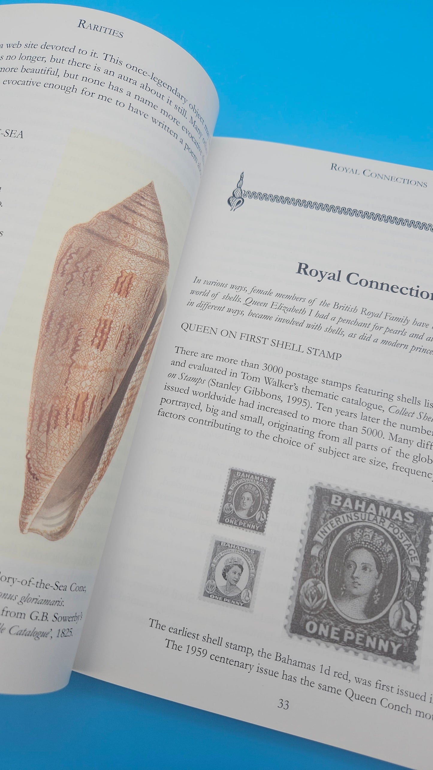 Out of My Shell – S. Peter Dance (2005, Softcover)