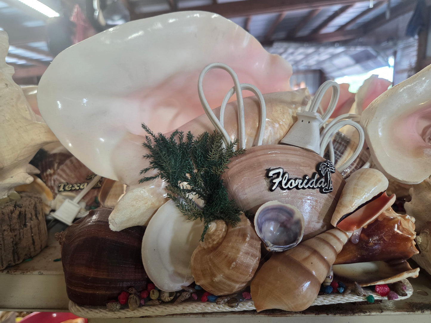 Pink Queen Conch Shell Vintage Novelty Light