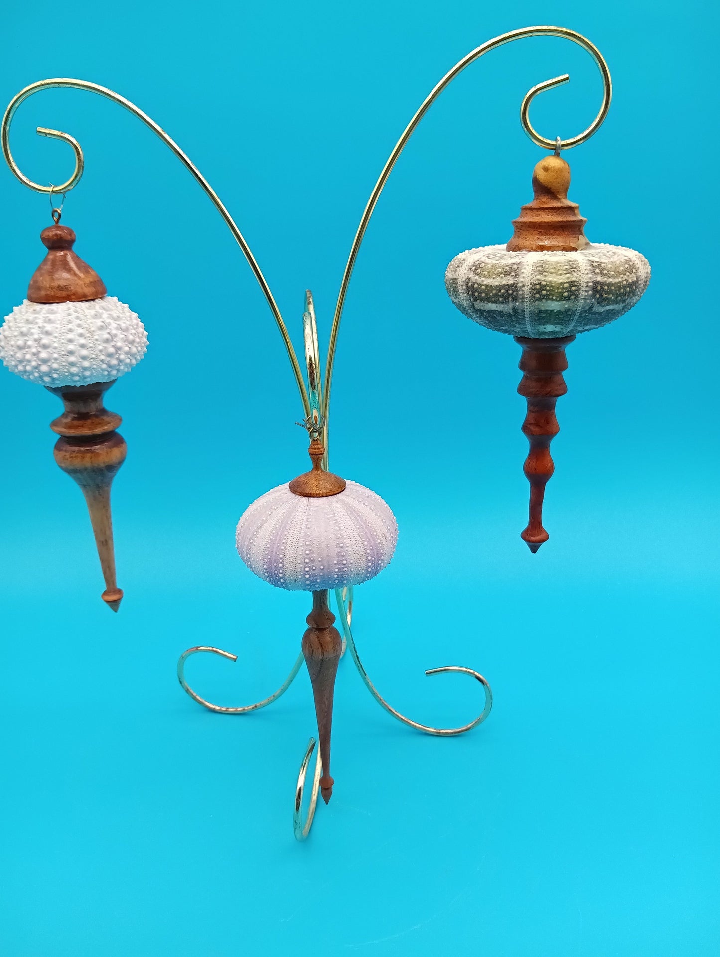 Real Sea Urchin Ornament with Hand-Turned Wood Finial – 3 Variants