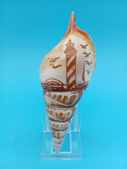 Carved Tibia Shell with Lighthouse Scene – 4.8"