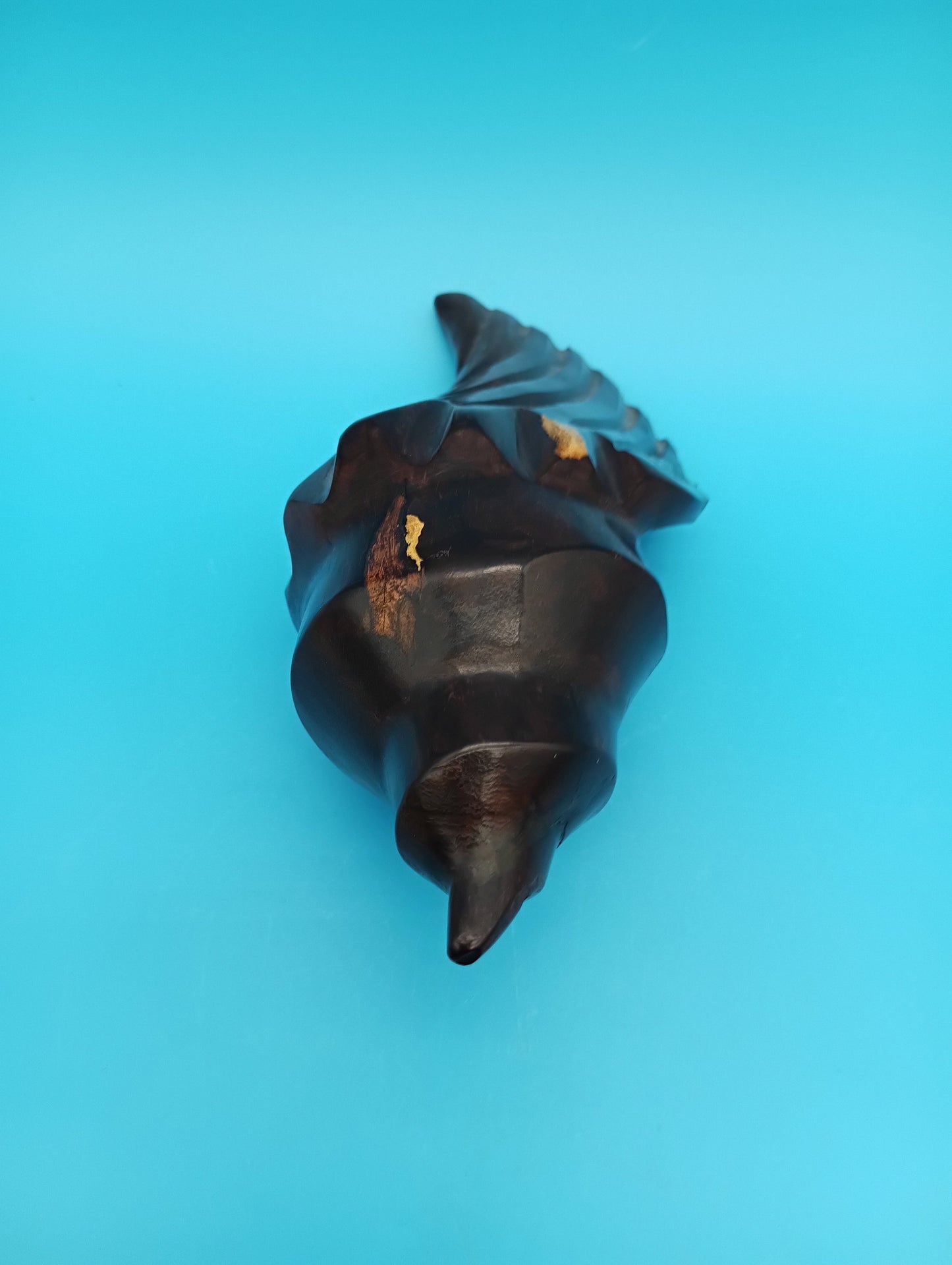 Ironwood Carved Conch Shell – 6.5" Coastal Decor Accent