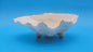 Bear Paw Clam Dish – 7.2" Coastal Display Shell