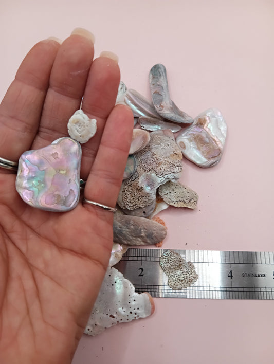 Tumbled Abalone Shell Pieces – Polished Natural Shell Chips for Crafts, Decor & Jewelry (Large)