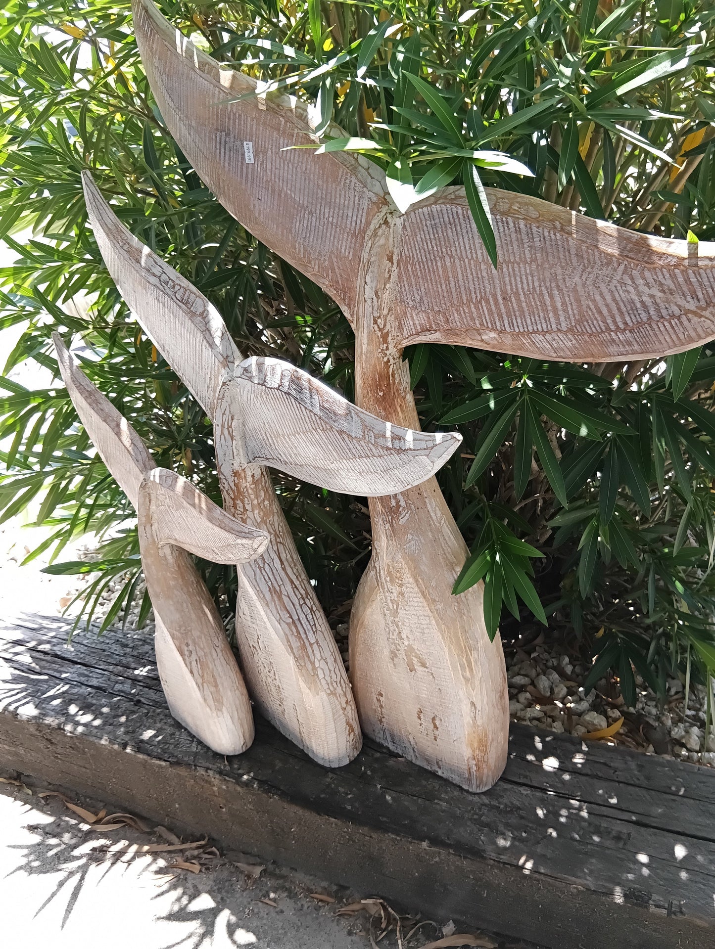 Large Handcrafted Natural Wooden Whale Tail