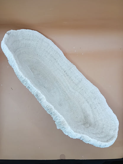 Tongue Mushroom Coral 14" Oblong Bowl Shape