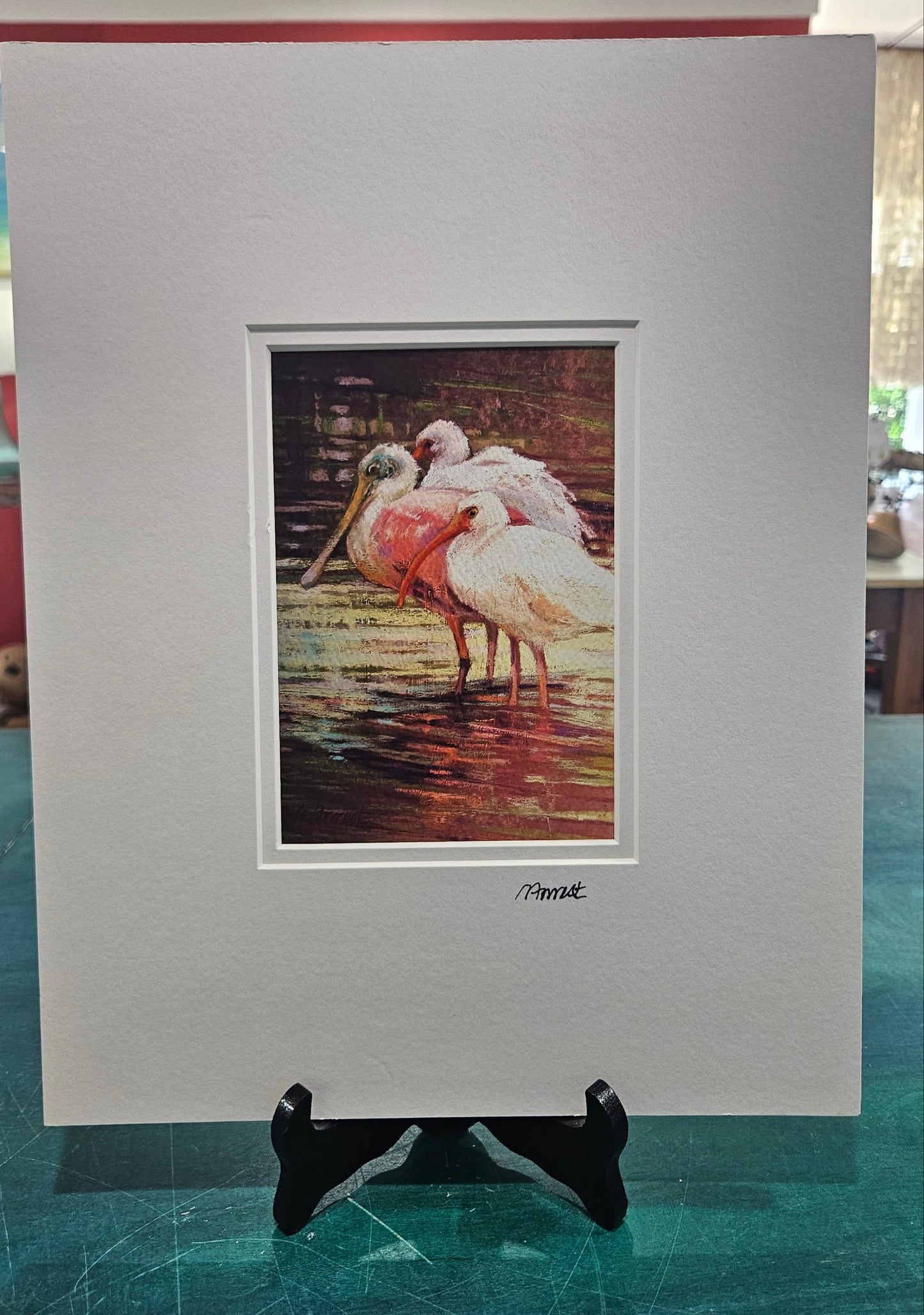 Roseate Spoonbills and Ibis Matted Wildlife Art Print – 11x14