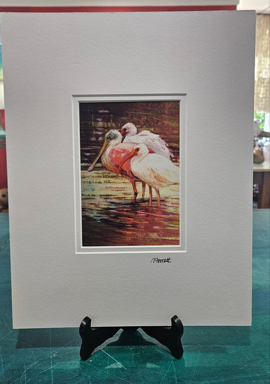 Roseate Spoonbills and Ibis Matted Wildlife Art Print – 11x14