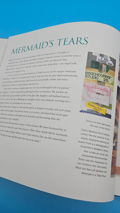 A Passion for Sea Glass – 2008 Hardcover by C.S. Lambert