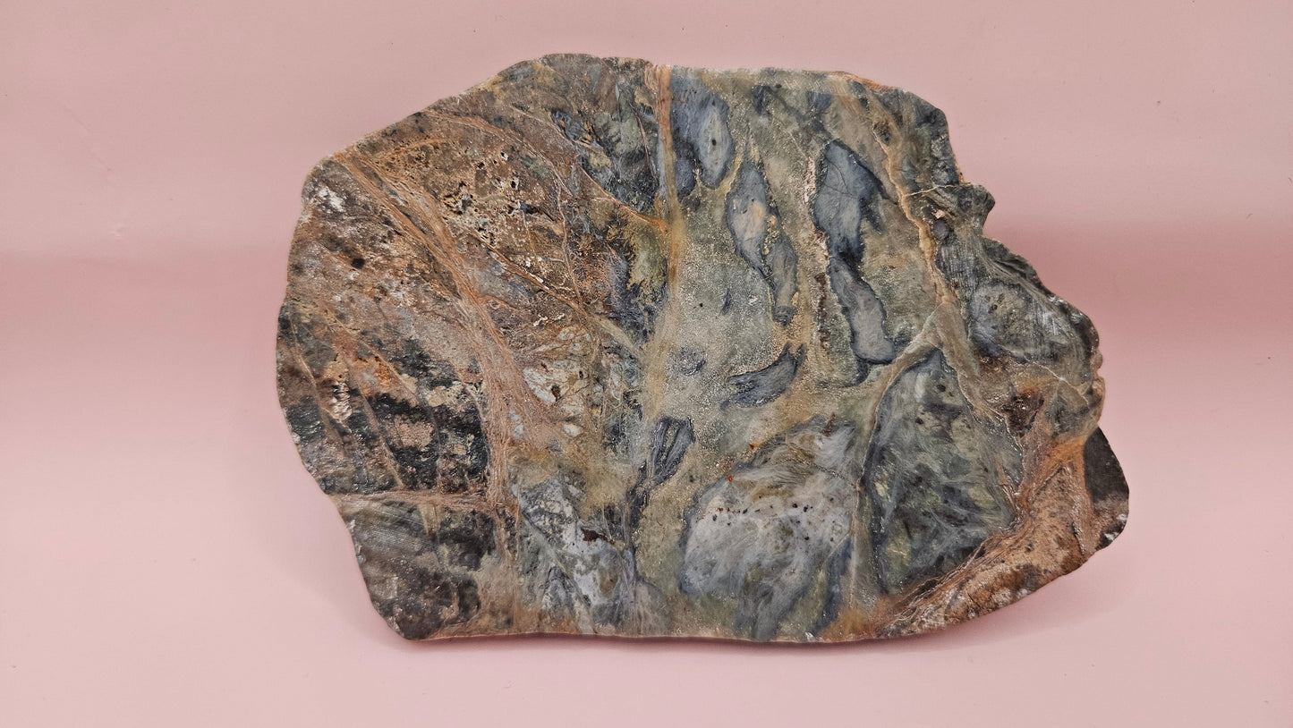 Rainforest Jasper Polished Slab – Vibrant Earthtone Swirls (195g)