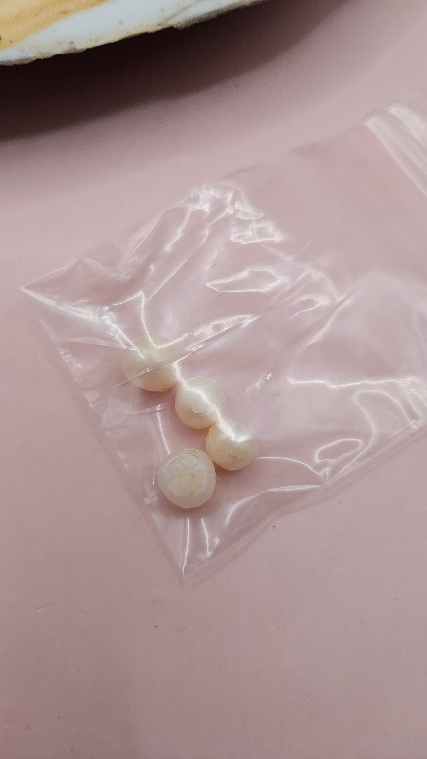 Fresh Water Clam Shell with Pearls and Loose Pearls – Display Shell 6.5"