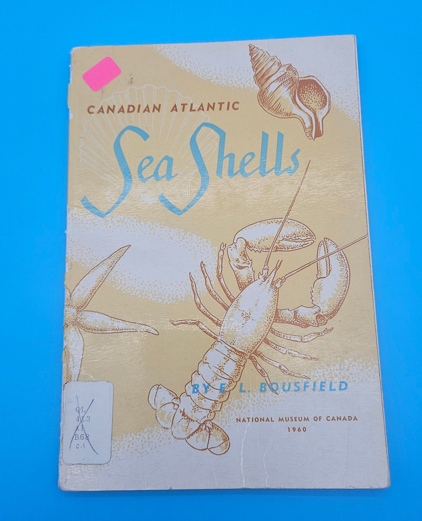 Canadian Atlantic Sea Shells – E.L. Bousfield (1960, Softcover)
