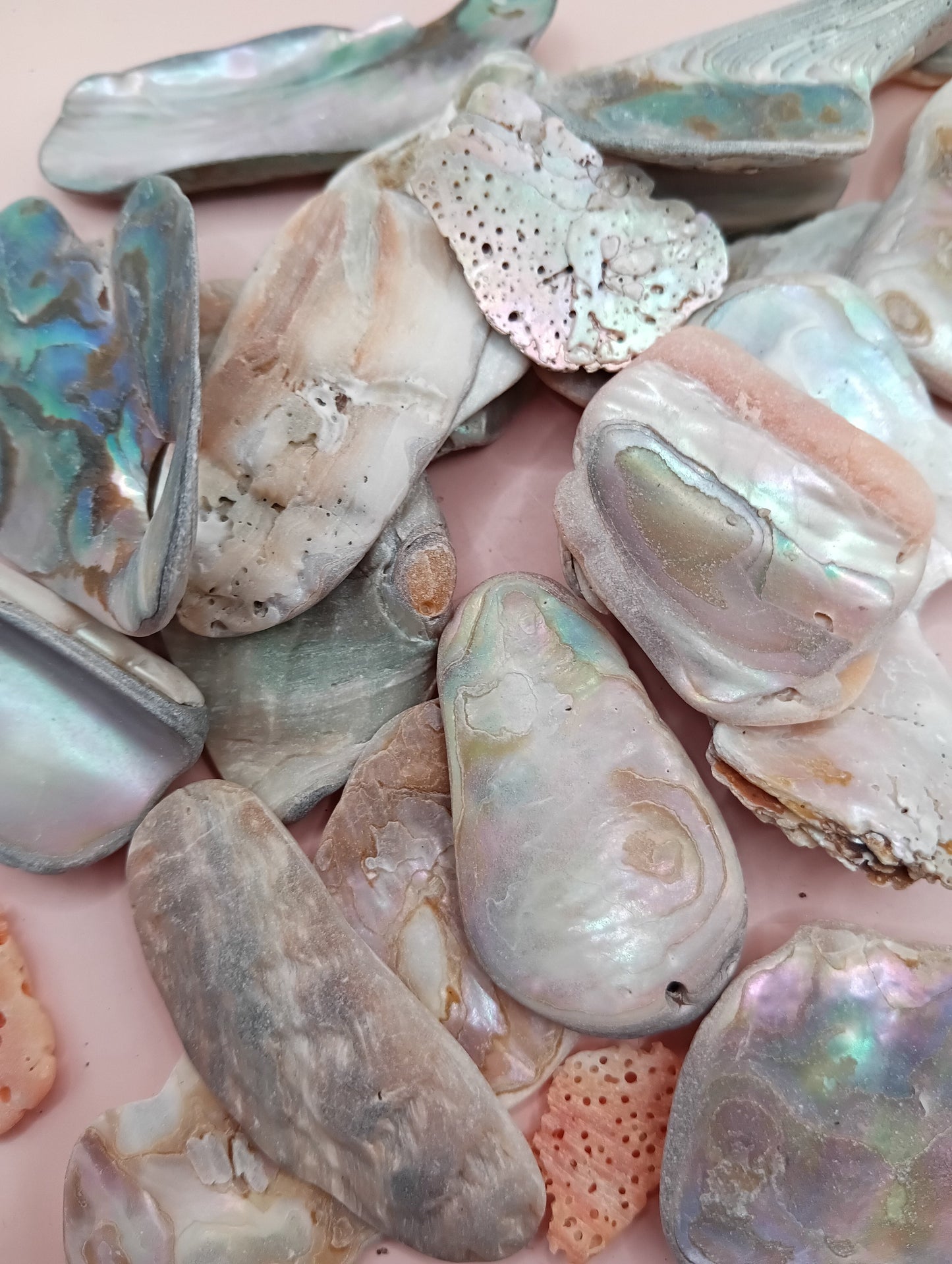 Tumbled Abalone Shell Pieces – Polished Natural Shell Chips for Crafts, Decor & Jewelry (Large)