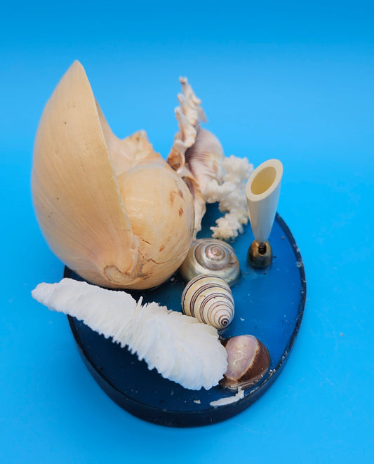 Coastal Seashell Pen Holder – Vintage Ocean-Inspired Desk Decor (9x5x3.5)