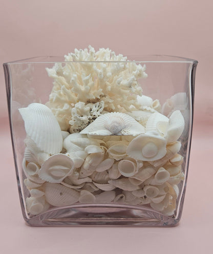 Square Glass Vase with White Coral and Seashell Display – Coastal Centerpiece (6x6)