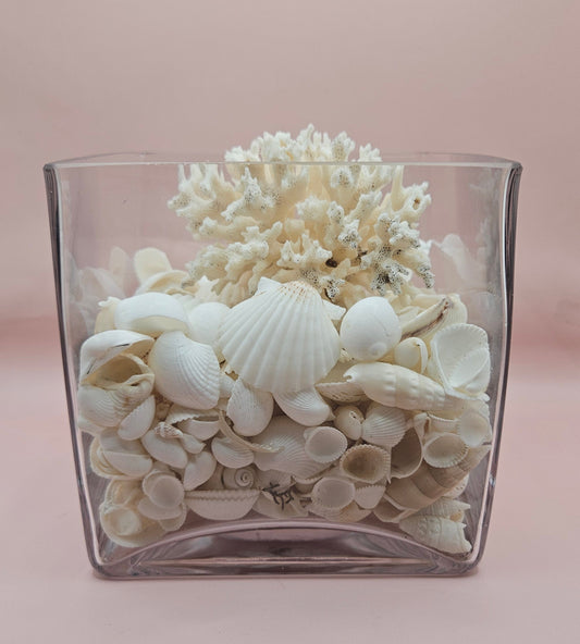 Square Glass Vase with White Coral and Seashell Display – Coastal Centerpiece (6x6)
