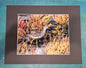 Shorebird Among Seaweed Coastal Print – 14x11 Wildlife Photography by Cheryl Kiser