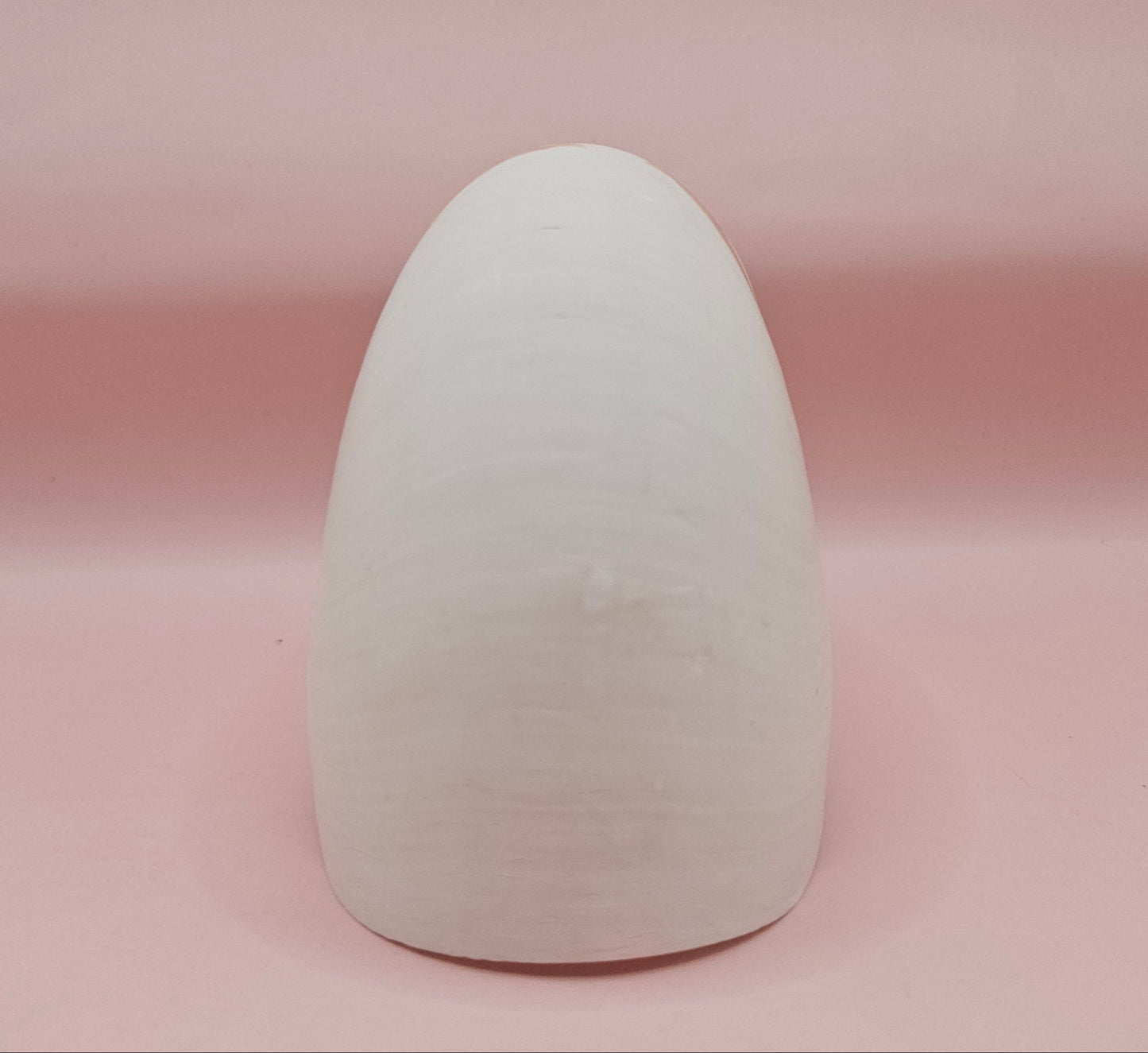 Tiger Nautilus Shell – Striking Natural Ocean Decor 4"