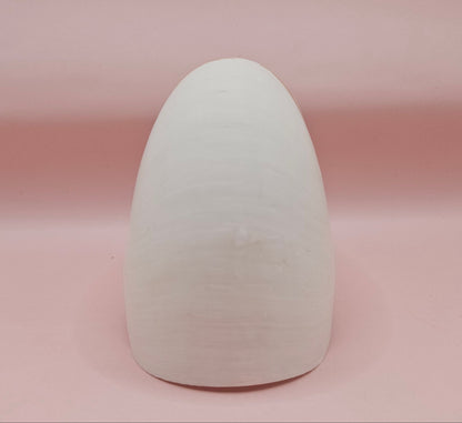 Tiger Nautilus Shell – Striking Natural Ocean Decor 4"