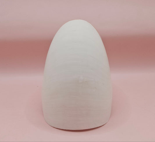 Tiger Nautilus Shell – Striking Natural Ocean Decor 4"