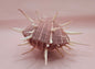 Spiny Spondylus Regius Display Shell | Mauve Pink Thorny Oyster Shell Decor