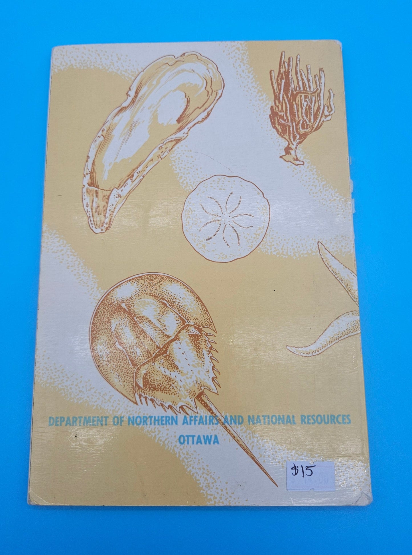 Canadian Atlantic Sea Shells – E.L. Bousfield (1960, Softcover)