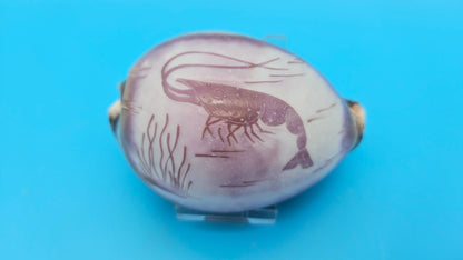 Carved Cowrie Shell Display 3.5" – Dolphin, Seahorse, or Shrimp Design Options