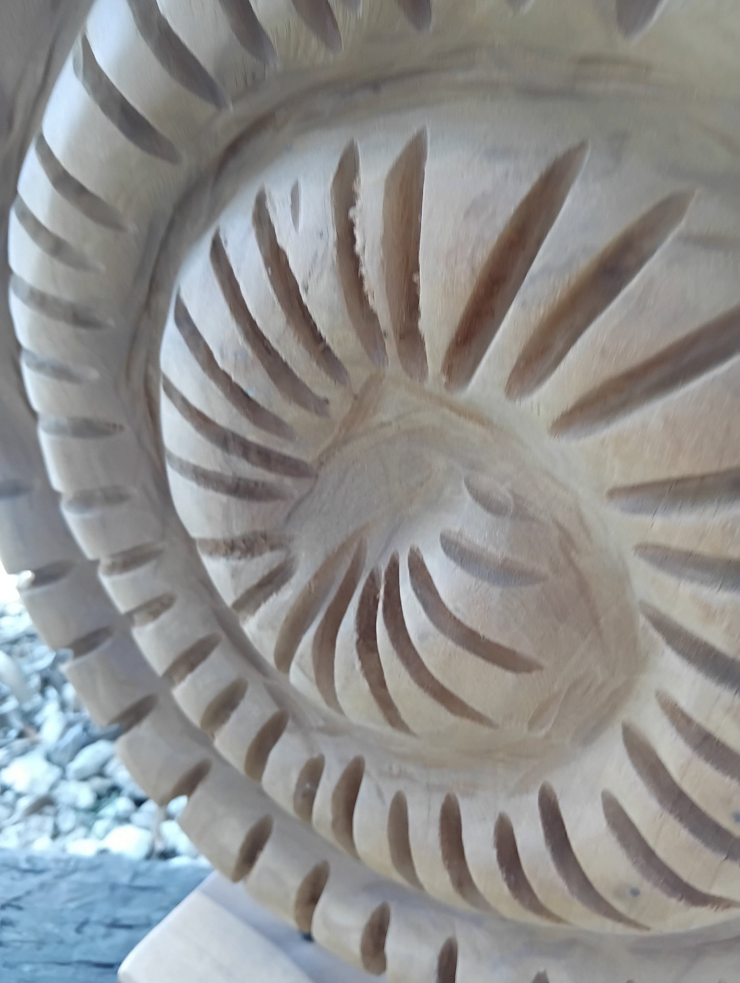 Wooden Ammonite Fossil Sculpture – Coastal Carved Spiral Décor on Stand