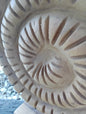 Wooden Ammonite Fossil Sculpture – Coastal Carved Spiral Décor on Stand
