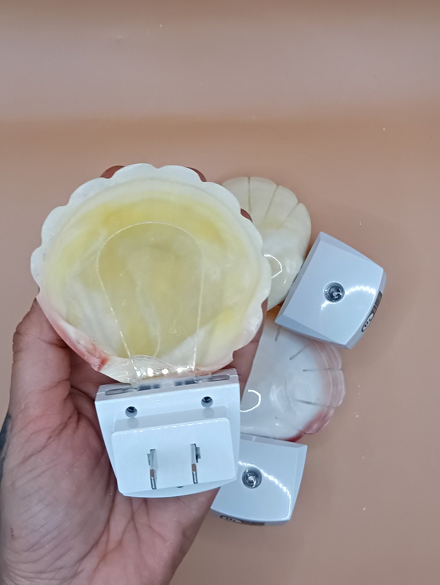 Polished Clam Shell LED Night Light