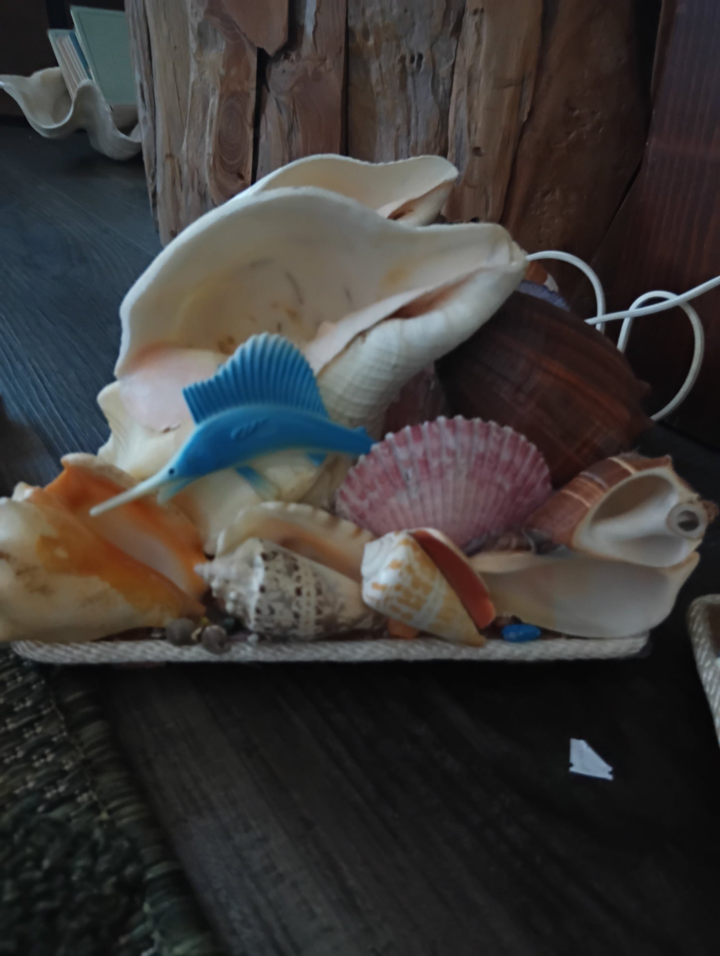 Chank & Mixed Seashells Novelty Light (Seahorse,  Palm Tree, Flamingo, Crucifix Or Marlin Accent)