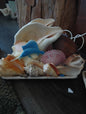 Chank & Mixed Seashells Novelty Light (Seahorse,  Palm Tree, Flamingo, Crucifix Or Marlin Accent)