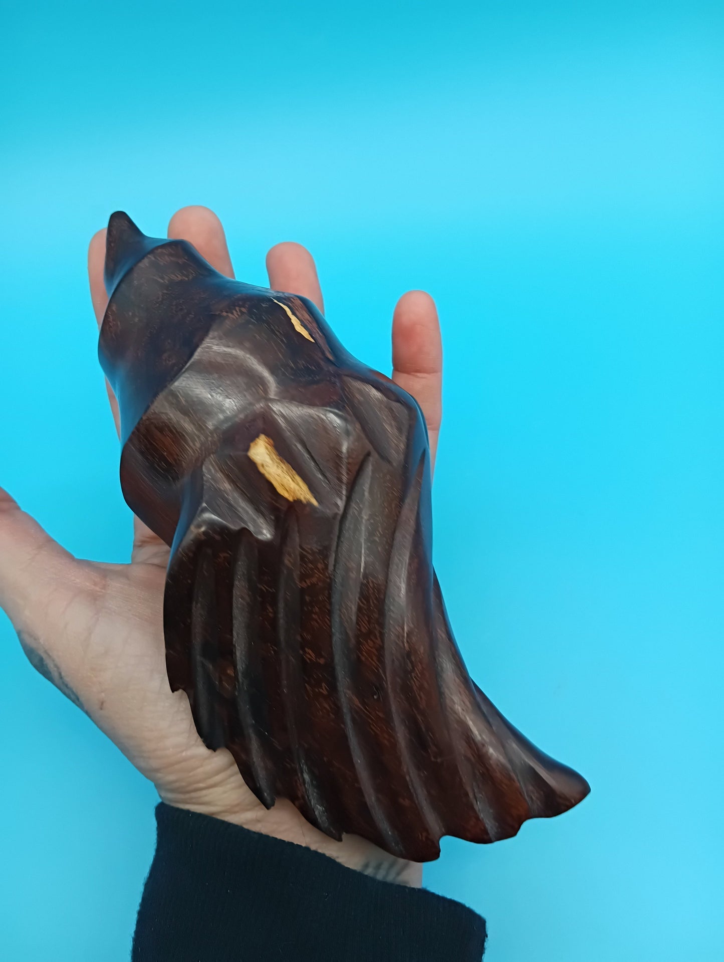 Ironwood Carved Conch Shell – 6.5" Coastal Decor Accent