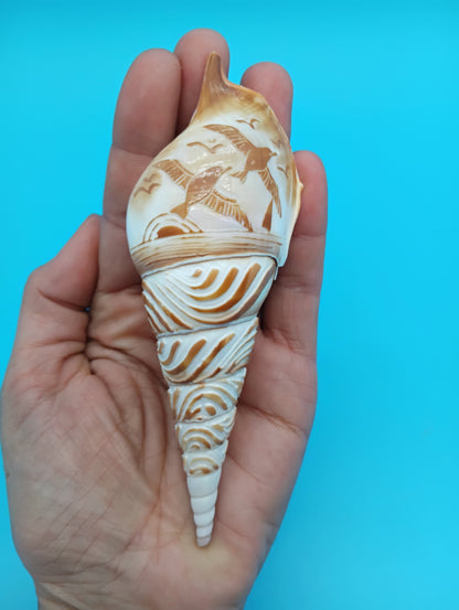 Carved Tibia Shell with Seagull Scene – 4.7"
