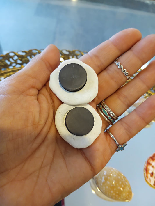 Genuine Seashell Magnets – Handmade Coastal Refrigerator Decor