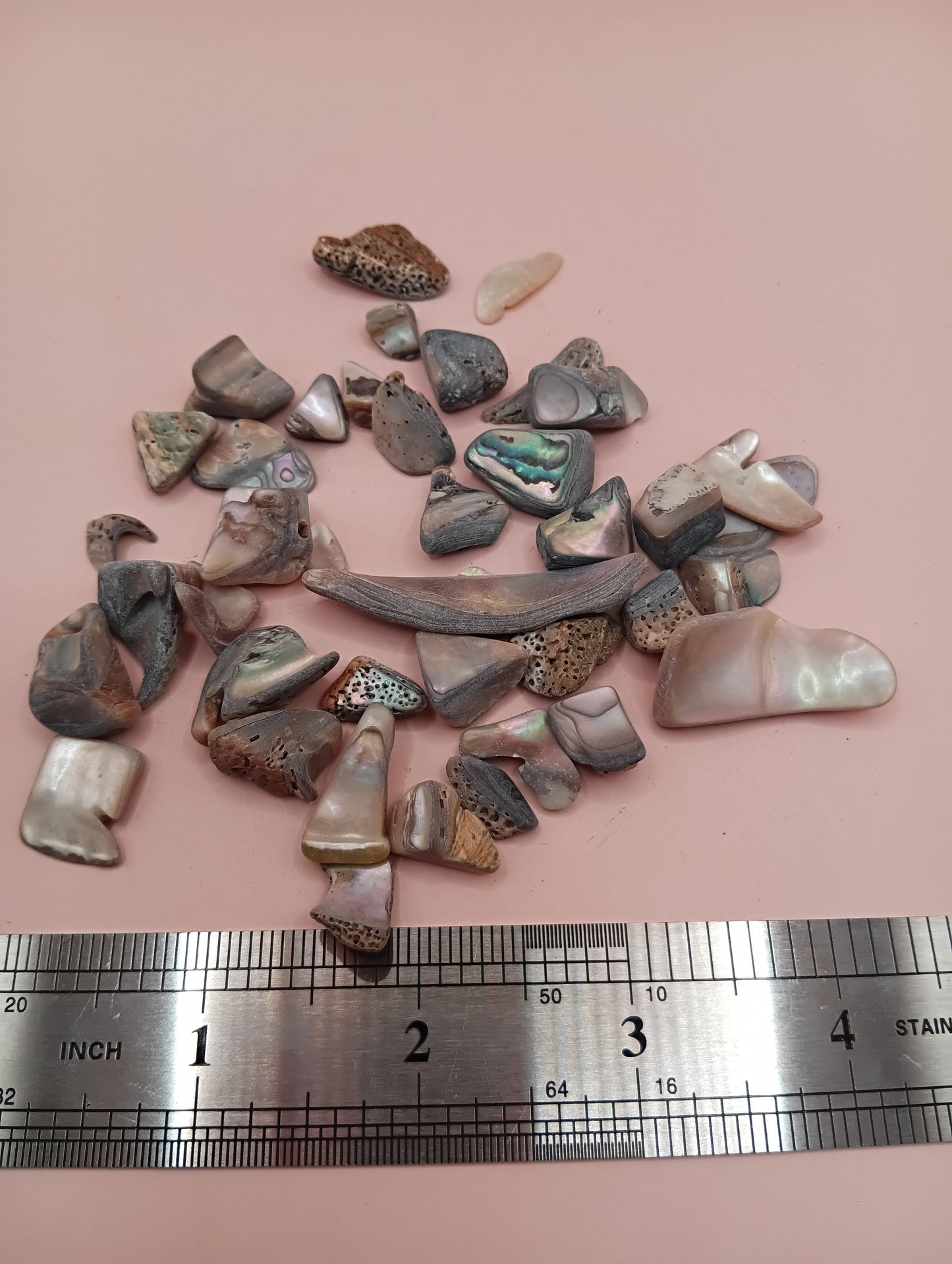 Tumbled Abalone Shell Pieces – Polished Natural Shell Chips for Crafts, Decor & Jewelry (Small)