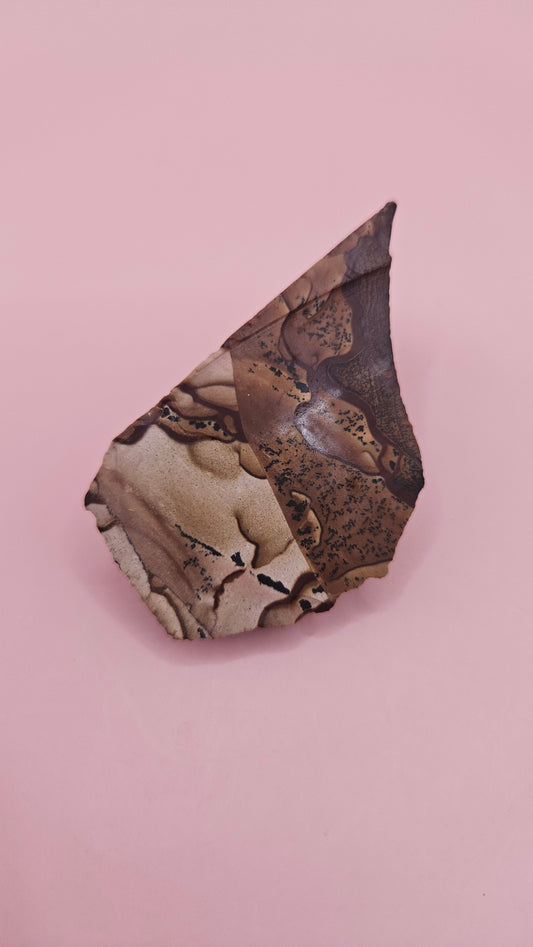 Rough Deschutes Jasper Specimen – 38g Oregon Picture Jasper with Scenic Earth Tones – Collector’s Natural Stone