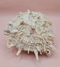 Spiky Spondylus Shell 5.5” with Barnacles  Coastal Decor Textured White Sea Shell Display