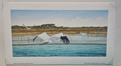 Whooping Cranes & Marsh Grass Art Print by Christi Mathews – Limited Edition 16.25"x9.5"
